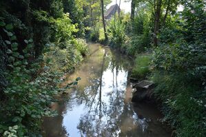 So nah und doch nicht erreichbar - der Lambach